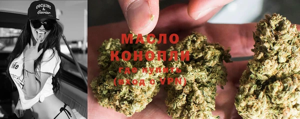 молекула духа Костерёво