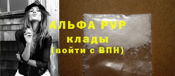 молекула духа Костерёво