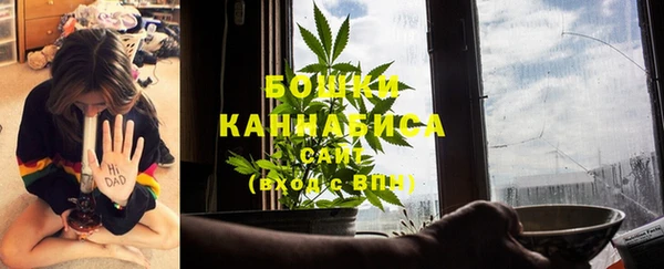 индика Кодинск