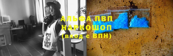 молекула духа Костерёво