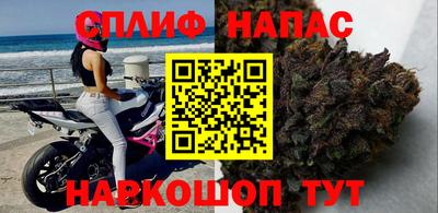 стафф Волгодонск