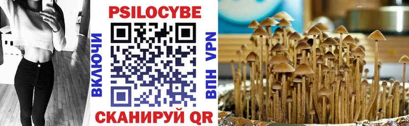 даркнет официальный сайт  ОМГ ОМГ сайт  Канаш  где купить наркоту  Псилоцибиновые грибы Psilocybe 