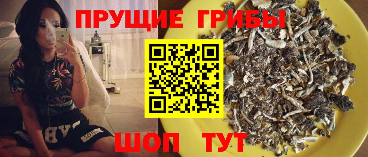 Псилоцибиновые грибы Magic Shrooms Канаш