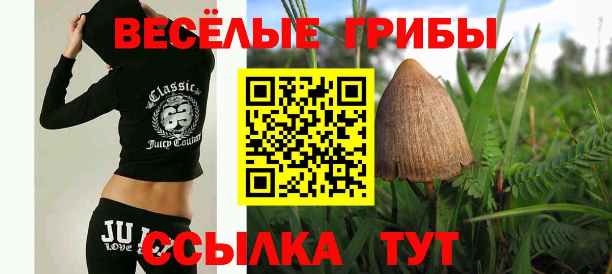 Псилоцибиновые грибы Psilocybine cubensis  Вход с VPN  Псилоцибиновые грибы прущие грибы  Канаш 